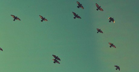 Processed with VSCOcam with f2 preset